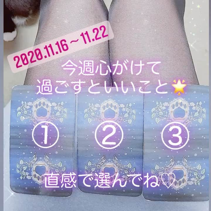 岩政久美子のインスタグラム：「2020.11.16〜22 🌟今週心がけて過ごすといいこと  今週は中旬ということで、全体的に少しお疲れな感じが伝わってきました🐱 少しリフレッシュする時間を作った方がいいかも🌟  #タロット占い  #運勢  #占い師 #今週」