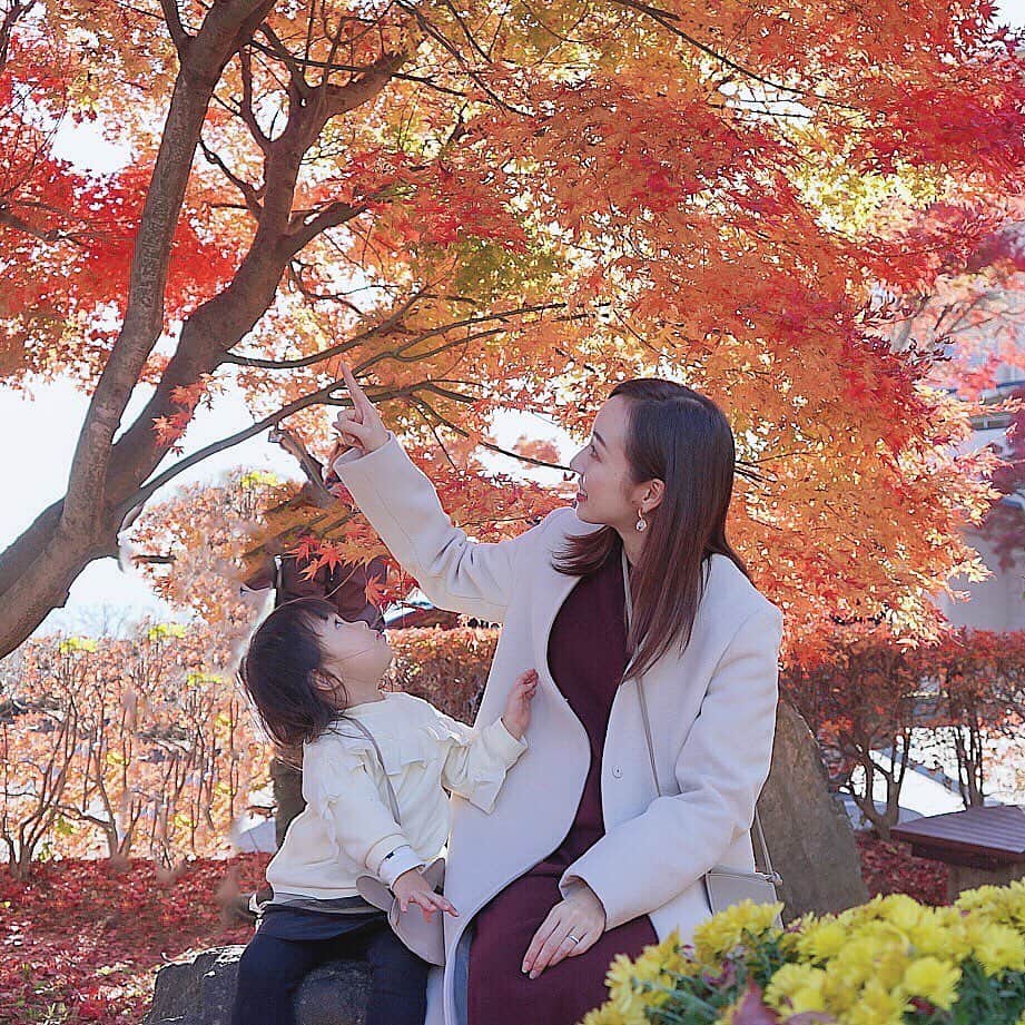 泉マリコさんのインスタグラム写真 - (泉マリコInstagram)「週末は紅葉を楽しみに河口湖へドライブ🍁🚗 . 赤や黄色に染まったもみじの回廊は本当に圧巻‼️娘も「きれーい❤️」と大感動で👧天気も良く、日本の秋を堪能できました。 . コーデも秋色🍠BAILA12月号付録のVASIC斜めがけマルチポシェットで身軽に👌早くも大人気だから気になる人はお早めに書店へ📚 . #紅葉 #紅葉狩り #家族でお出かけ #河口湖もみじ回廊 #河口湖紅葉祭り #山梨観光 #秋コーデ #mamagirl」11月16日 18時45分 - mariko_i0902