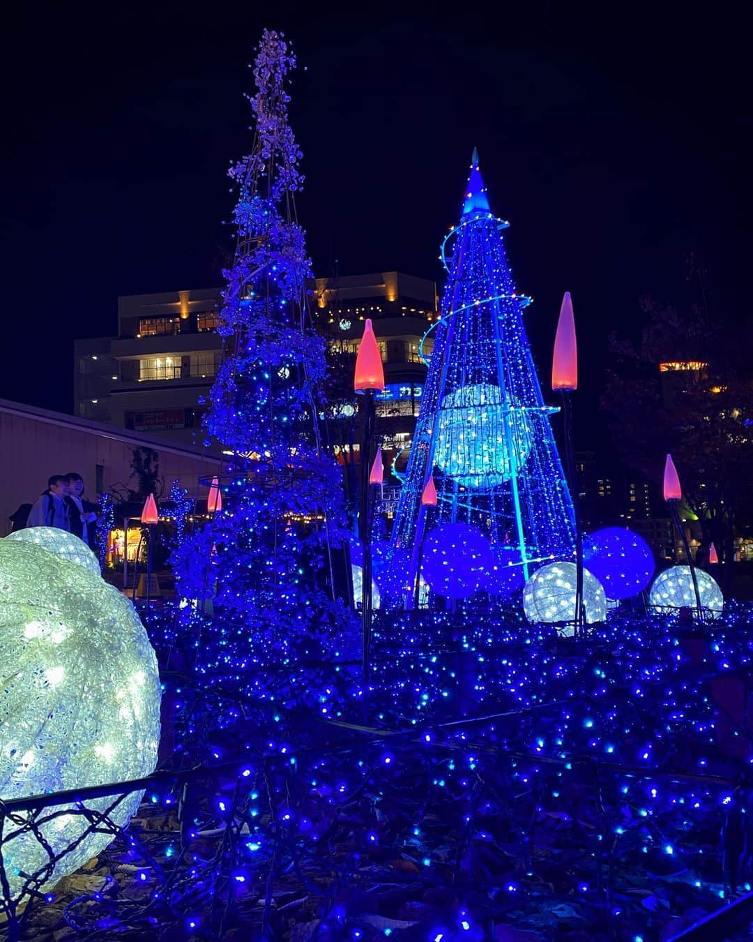 のインスタグラム：「寄り道☺️🎄  おすそ分け☺️🦋  #メリークリスマス   #動画　あります　👉　全編はストーリーへ」