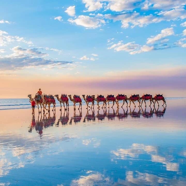 Australiaさんのインスタグラム写真 - (AustraliaInstagram)「Good news, this isn’t a mirage, just a standard sight in beautiful #Broome! 🐪 @abbymurrayphotography captured the rather famous view of a camel train making its way along the stunning (and very long!) #CableBeach in @australiasnorthwest. If you’re visiting this part of @westernaustralia we recommend booking a sunset camel trek for yourself, it’s one of those bucket list kind of experiences that simply can’t be missed. After you’ve watched the sun sink into the Indian Ocean from the saddle, head to @zanderscablebeach for a well-earned drink and dinner. #thisWA #wanderoutyonder #BroomeTime #seeaustralia」11月16日 19時00分 - australia