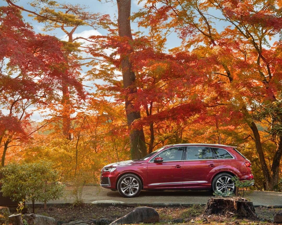 アウディ ジャパンさんのインスタグラム写真 - (アウディ ジャパンInstagram)「縦のクロスバーを施した八角形のシングルフレームグリルが特徴の新しいAudi Q7。 日本の秋を象徴するような真っ赤な紅葉の中でも、その存在感を鮮やかに主張します。  #Audi #AudiQ7 #アウディQ7 #Audijapan #アウディ #carwithoutlimits #carsofinstagram #Audiworld #Audigenic #車好きな人と繋がりたい #紅葉 #虹の郷 #秋 #Autumn #秋の空 #秋の風景 #ドライブ」11月16日 19時00分 - audijapan
