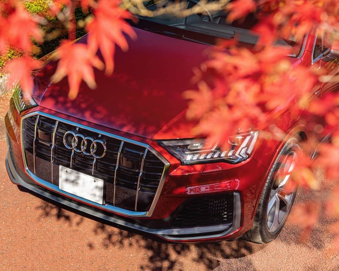 アウディ ジャパンさんのインスタグラム写真 - (アウディ ジャパンInstagram)「縦のクロスバーを施した八角形のシングルフレームグリルが特徴の新しいAudi Q7。 日本の秋を象徴するような真っ赤な紅葉の中でも、その存在感を鮮やかに主張します。  #Audi #AudiQ7 #アウディQ7 #Audijapan #アウディ #carwithoutlimits #carsofinstagram #Audiworld #Audigenic #車好きな人と繋がりたい #紅葉 #虹の郷 #秋 #Autumn #秋の空 #秋の風景 #ドライブ」11月16日 19時00分 - audijapan