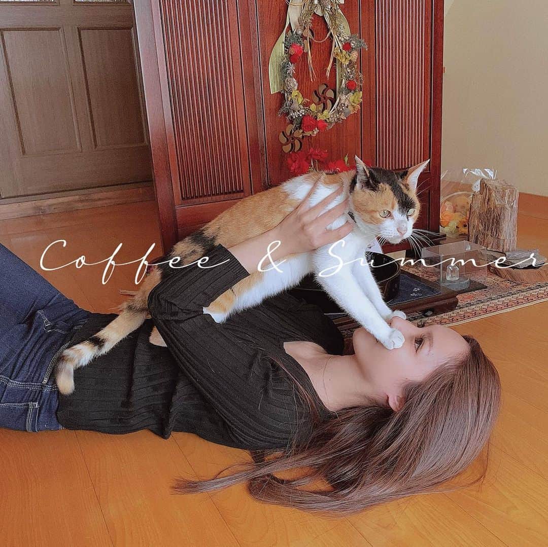 ひよこ先輩さんのインスタグラム写真 - (ひよこ先輩Instagram)「もふもふは正義🐱 . #猫　#ネコ　#ねこ　#猫アレルギー #でも猫好き　#犬も好き」11月16日 19時12分 - piyo14ko