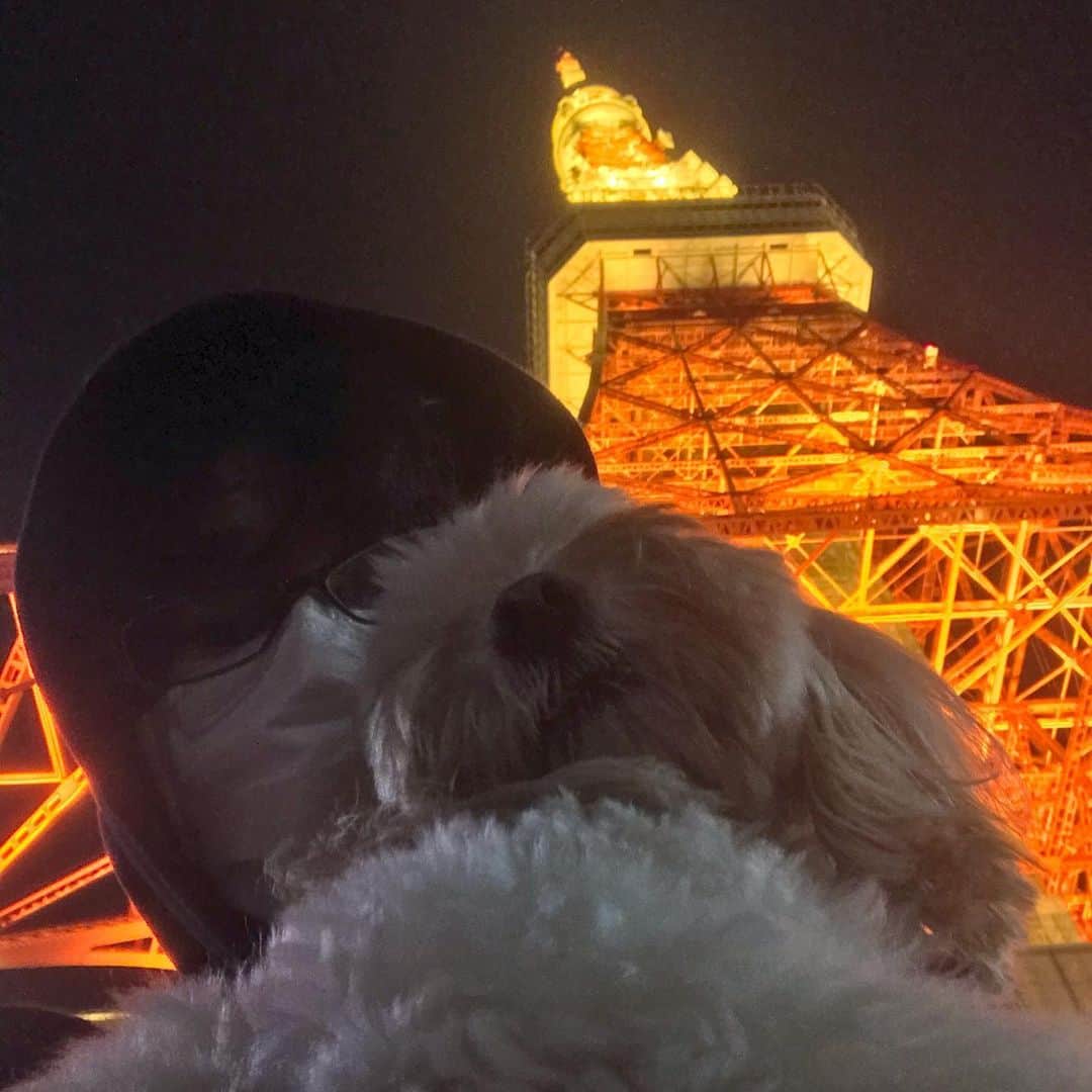 北山陽一のインスタグラム：「ちょっと気分転換してきた。#きたやまおもち」