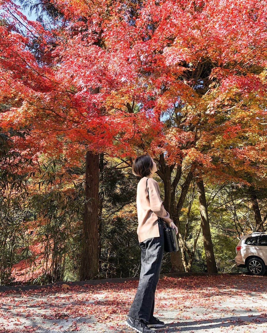 荒川知美(Arakawa Tomomi) のインスタグラム：「.﻿ めっちゃ紅葉きれい🍁🍁﻿ 四季の中で秋が一番好き🥰！﻿ ﻿ 昨日は地元高槻で椎茸狩り行ってきた🍄﻿ 初めて行ってんけどビニールハウスの中に﻿ いっぱいしいたけが栽培されてて﻿ テンション上がった🥺⤴︎﻿ ﻿ とってきた椎茸は鍋と﻿ バターホイル焼きにしてみんなで食べた🤤﻿ ﻿ 久しぶりに友達とがっつり遊んだけど﻿ やっぱり楽しいし落ち着くしで、﻿ 友達の存在に改めて感謝😭😭﻿ 今まで当たり前のように友達と﻿ 遊んだり旅行行ったりしてたけど、﻿ それが当たり前じゃなくなって﻿ ほんまにありがたみを実感した😭🙏﻿ ﻿ #紅葉 #紅葉🍁 #椎茸 #しいたけ狩り #秋の味覚 椎茸狩り #大阪 #高槻市 #高槻 #ドライブ #高槻しいたけセンター」