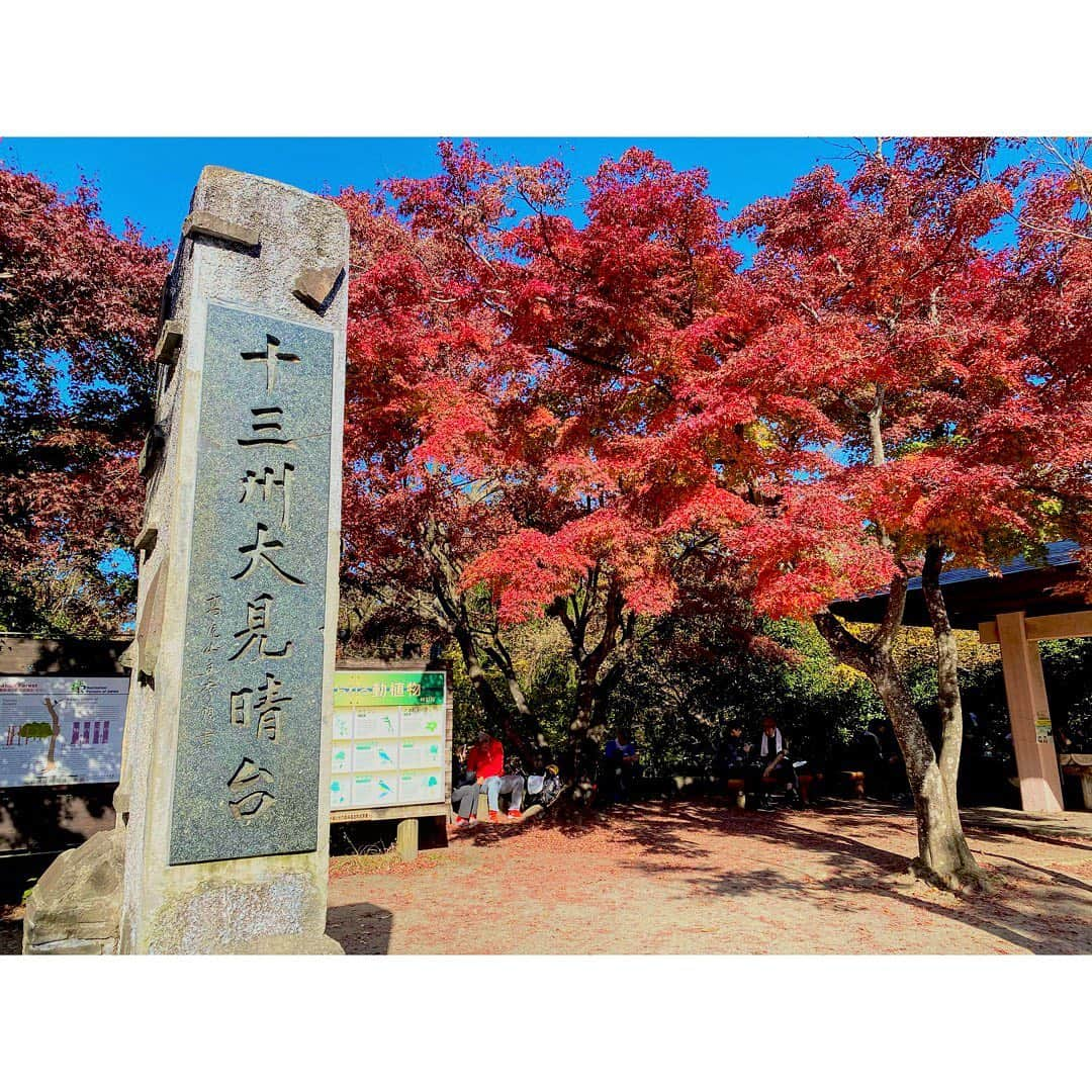 中田奈沙さんのインスタグラム写真 - (中田奈沙Instagram)「Went hiking to Mt. Takao⛰ 焼肉食べながら決めた高尾山ハイキングw たまたまだけど紅葉のタイミングもバッチリ☺️👌 @akikogt1127 @mihomjm 楽しい時間をありがとう❤️ . #奈沙旅in高尾山  #mttakao #hike #hiking #autumnleaves #1daytrip #trip #me #takao #weekend #dayoff #sunday #outdoor #friends #mountainclimbing #高尾山 #登山 #山ガール #山登り #ハイキング #紅葉 #紅葉狩り #日帰り旅行 #日帰り #日曜日 #週末 #アウトドア」11月16日 19時37分 - nasa_nakada