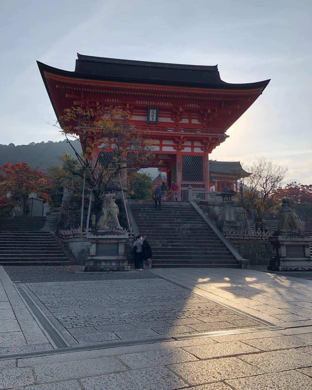 高原直泰さんのインスタグラム写真 - (高原直泰Instagram)「空いてる時間で散策。 #清水寺 #紅葉 #京都散策」11月16日 19時43分 - takahara.osv