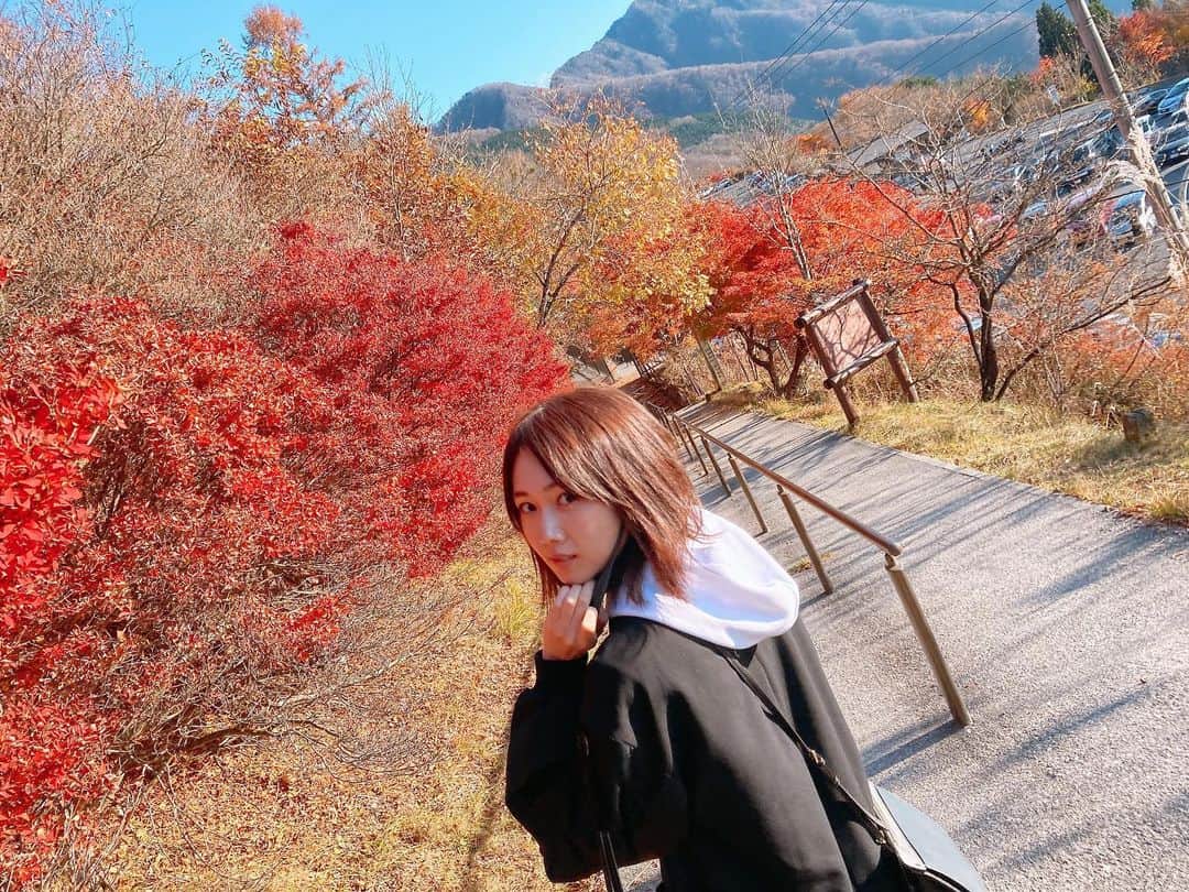 永島聖羅さんのインスタグラム写真 - (永島聖羅Instagram)「秋ですね〜🍁 . . コートを着るタイミングを 伺っています… . . 今日は早く寝よう。」11月16日 19時46分 - seira_nagashima