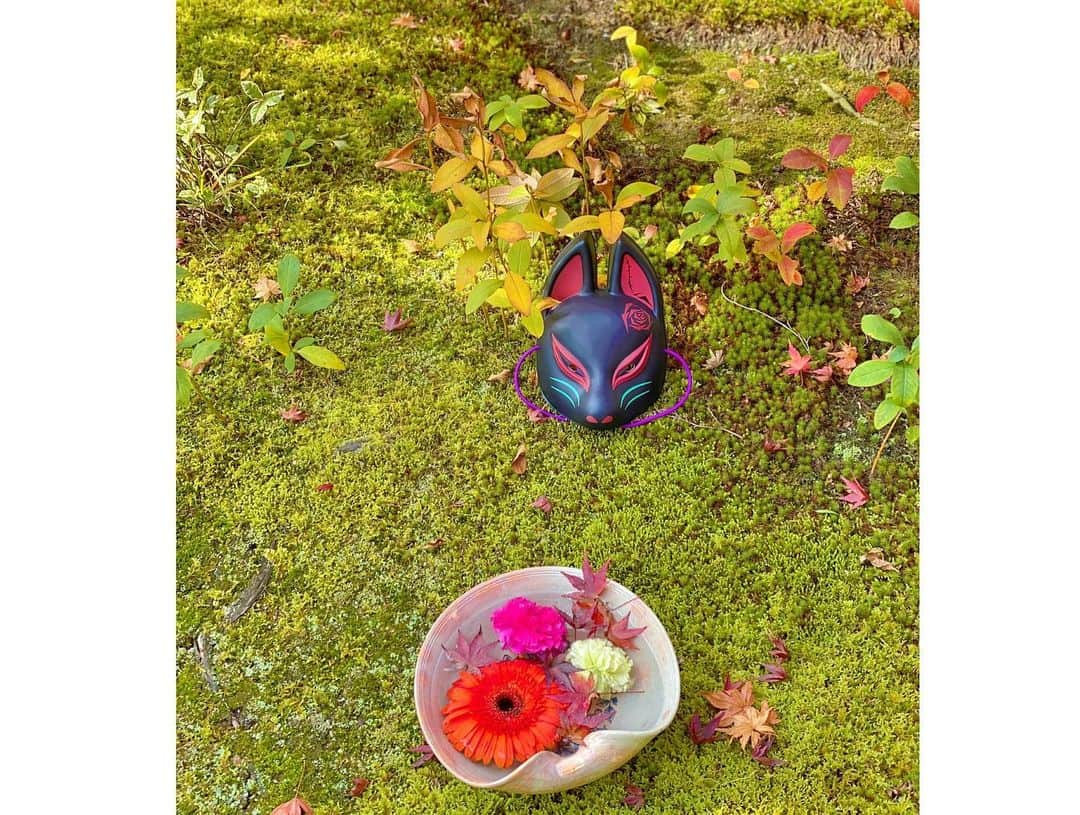 谷中麻里衣さんのインスタグラム写真 - (谷中麻里衣Instagram)「Shourinji Temple in Kyoto ✨ Vibrant collaboration between flowers and fall foliage 🥰  花手水🌸 滞在先の近くをお散歩してたらたまたま素敵なお寺を見つけました😊  #京都#勝林寺#花手水#紅葉#お寺#お寺巡り」11月16日 19時57分 - marieyanaka