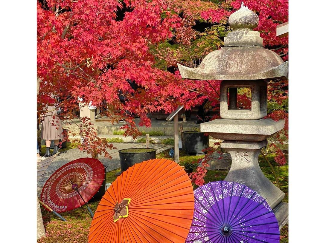 谷中麻里衣さんのインスタグラム写真 - (谷中麻里衣Instagram)「Shourinji Temple in Kyoto ✨ Vibrant collaboration between flowers and fall foliage 🥰  花手水🌸 滞在先の近くをお散歩してたらたまたま素敵なお寺を見つけました😊  #京都#勝林寺#花手水#紅葉#お寺#お寺巡り」11月16日 19時57分 - marieyanaka