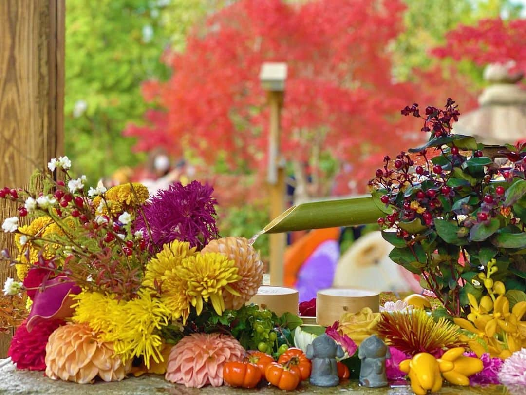 谷中麻里衣さんのインスタグラム写真 - (谷中麻里衣Instagram)「Shourinji Temple in Kyoto ✨ Vibrant collaboration between flowers and fall foliage 🥰  花手水🌸 滞在先の近くをお散歩してたらたまたま素敵なお寺を見つけました😊  #京都#勝林寺#花手水#紅葉#お寺#お寺巡り」11月16日 19時57分 - marieyanaka