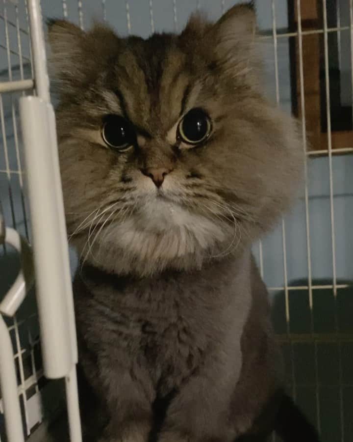 野村舞鈴のインスタグラム