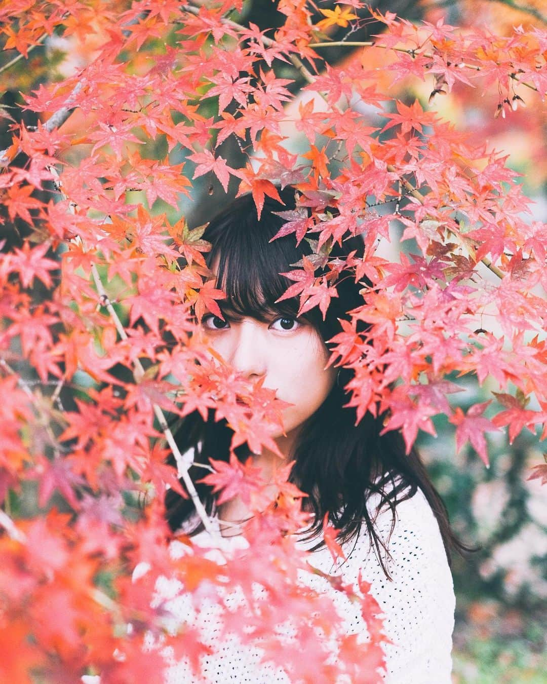 TAKI Modさんのインスタグラム写真 - (TAKI ModInstagram)「. . 🍁eyes🍁 . . 来週の人間ドックに向けて今週は禁酒しようかな🍺🍶 . . 【location : Kyoto , Japan 】 . . follow☞@team_jp tag ☞#team_jp_ ←最後の_忘れず . . XPRO2 / XF35mm F1.4 . . #portrait#ポートレート  #RECO_ig  #igersjp#IG_phos #写真好きな人と繋がりたい#その瞬間に物語を#スクリーンに恋して#genic_japan  #pasha_magazine @FUJIFILMjp_x  @FUJIFILM_xseries」11月16日 20時24分 - taki_318