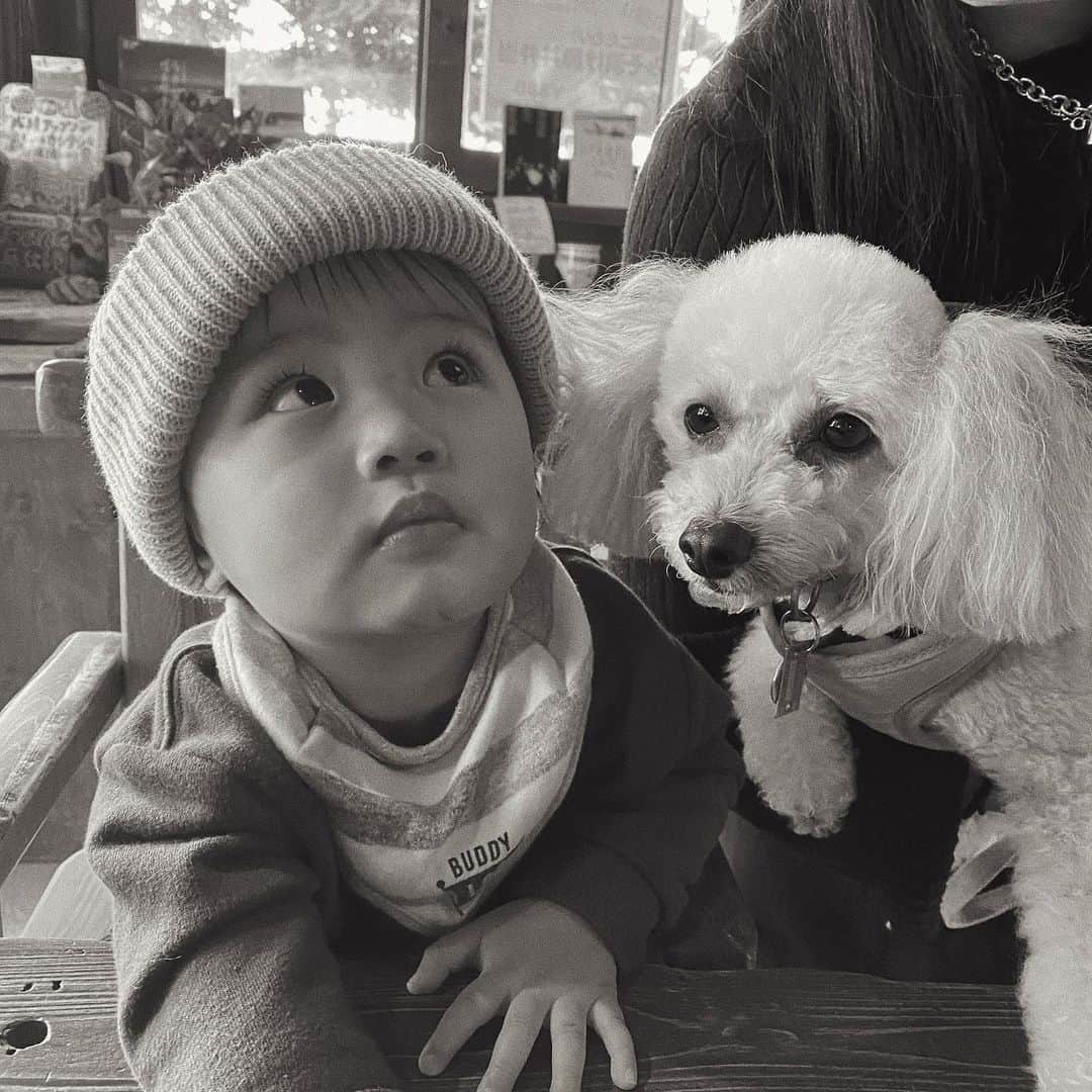 樽見麻緒のインスタグラム：「きゃわいぃぃい👶🏻🐶🤝 かなり久しぶりにすぐりちゃんとTOMATOに会えた🍅❤︎」