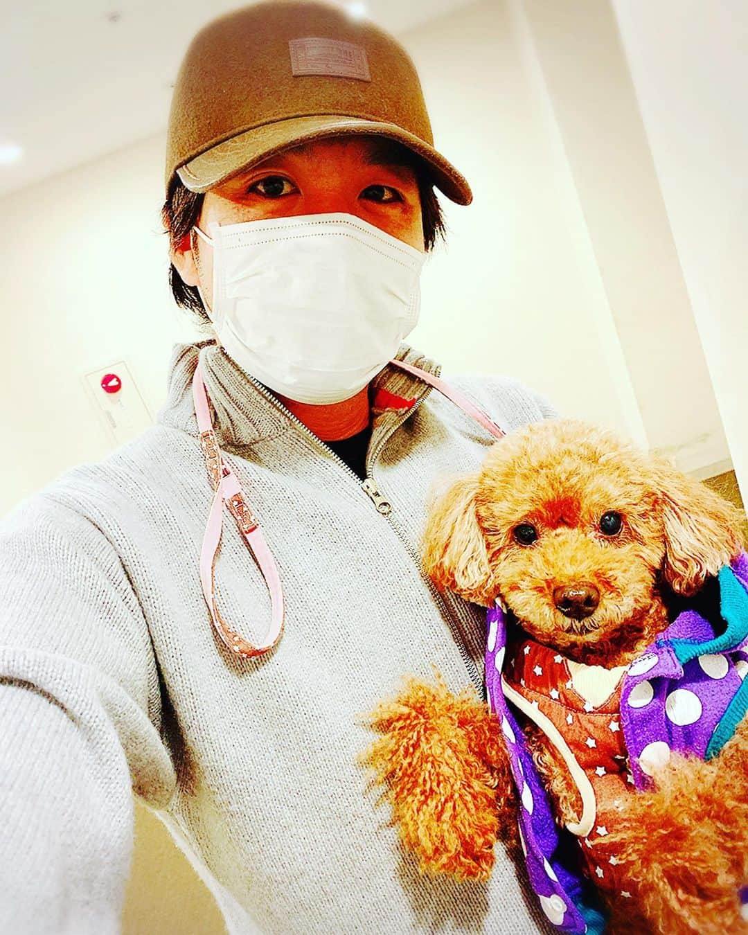 藤澤ノリマサのインスタグラム：「自撮りなので僕はブサイクですが、、、。 * #藤澤ノリマサ  #fujisawanorimasa  #norimasafujisawa  #popopera #トイプードル #toypoodle #pet #petstagram *」