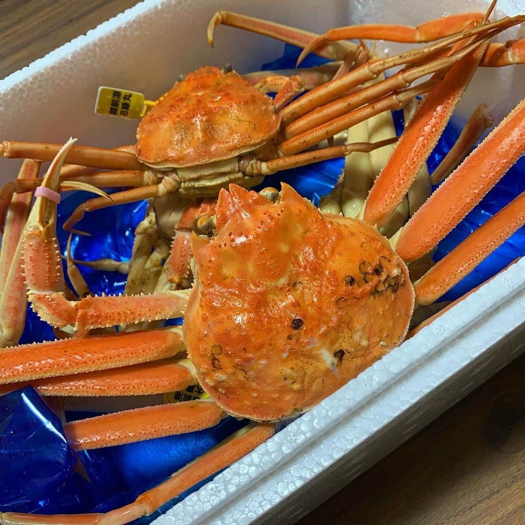橋本からあげのインスタグラム：「蟹を頂いてしまった😭❤️人生で1番美味しくて幸せな蟹だった〜！本当にありがとうございます😭❤️」