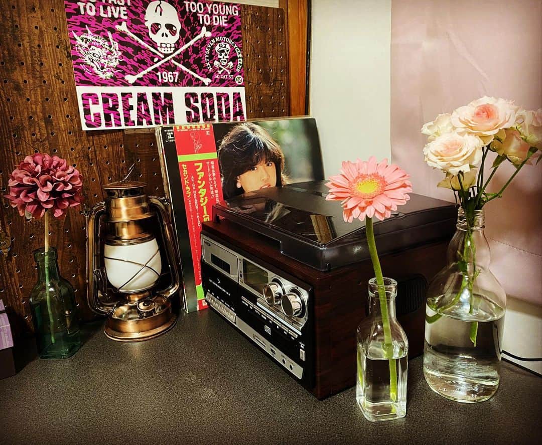 よもぎのインスタグラム：「新しいお花  #昭和 #昭和部屋 #creamsoda #80年代 #部屋作り  #昭和レトロ #インテリア家具  #花のある暮らし」