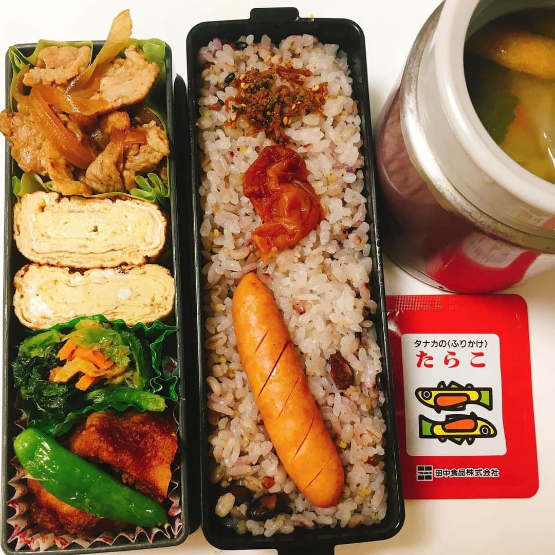 水野愛日さんのインスタグラム写真 - (水野愛日Instagram)「#最近のお弁当   #まなびごはん #おべんとう記録 #おべんとう #お弁当の記録 #簡単弁当 #ワンパターン弁当 #女子弁当 #女子弁当記録 #田中のふりかけ #サラダ弁当 #たまごやき #お弁当🍱 #お弁当女子 #ランチボックス」11月16日 20時43分 - mizunomanabi