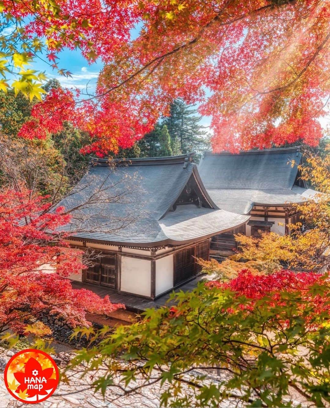 はなまっぷ❁日本の花風景さんのインスタグラム写真 - (はなまっぷ❁日本の花風景Instagram)「🍂🍁はなまっぷの紅葉まつり🍁🍂 *  @yukkey.inc さんの 紅葉に花まるを💮 * 色とりどりに染まる美しい日本の秋をありがとうございます😊🍁🍂 * 京都　#神護寺 Shingo-ji Temple, Kyoto. * 見頃を過ぎている場所もご紹介しています。 お出かけの際はHP等で最新の情報をご確認くださいね🙏🍁 * 🍁•••🍂•••🍁•••🍂•••🍁•••🍂 * 🍂🍁はなまっぷの紅葉まつり🍁🍂 〜紅葉の季節が終わる頃まで #はなまっぷ  のタグの中から、紅葉のお写真をご紹介させていただきます。期間中はランダムに、複数枚投稿でもご紹介させていただく場合がございます。 * #秋#紅葉#風景#はなまっぷ」11月16日 20時53分 - hanamap