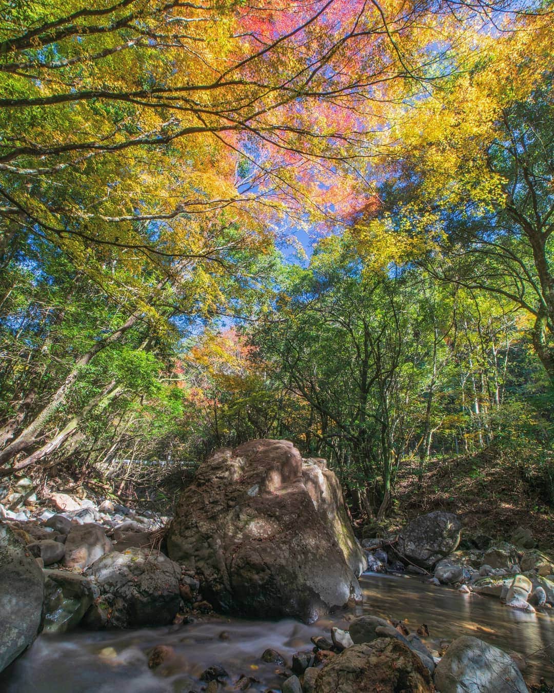 鹿児島よかもん再発見のインスタグラム：「伊佐市大口山野の河原にて(^-^)/  人が多数訪れる名所も良いですが、誰もいない山中の紅葉も良いものです(^-^)/ ※安全面には十分注意しましょう  #鹿児島 #鹿児島観光 #伊佐市 #伊佐 #伊佐市観光 #布計 #鹿児島の紅葉  #鹿児島の風景 #鹿児島の風景 #渓谷 #紅葉 #kagoshima #kagoshimaphotograph  #伊佐市大口」