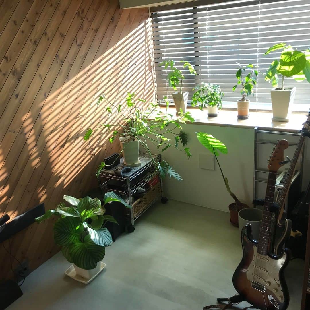 ムクリ［mukuri］さんのインスタグラム写真 - (ムクリ［mukuri］Instagram)「心を潤す存在。育てる喜びと癒しの時間を〜植物のある暮らし（seven_herbs_さん／あの人の暮らしが素敵な理由）  「グリーンが映える家」を コンセプトに考えられたmiさんのお家。  植物たちがお家のインテリアの一部としてなくてはならない存在であり、アイアンやモルタルで色味を抑えたシックな空間の中にパッと鮮やかなグリーンが優しさや温かみを与えてくれています。  失敗を繰り返しながらも20年かけてコツコツ育て少しずつ増やしてきた植物たち。お世話をする時間がmiさんにとってなくてはならない暮らしと心の潤いになっています。  植物をインテリアの中に取り入れたいけれど、ハードルが高いなと感じている方にも気軽にチャレンジしやすい「水挿し」で楽しむグリーンインテリアのおすすめなども教えていただいています！  家で過ごすことが多くなるこれからの季節、触れて癒され眺めることで気持ちも明るくなるような「植物のある暮らし」の楽しみ方をぜひ参考にしてみてくださいね♪  specialthanks @seven_herbs_ ・ （編集：megu）  ▶詳細はプロフィールのURLよりご覧ください プロフィールはこちらから @mukuri_official ・  #夫婦二人暮らし #リビングインテリア #グリーンのある暮らし #植物のある暮らし #観葉植物 #インドアグリーン #インテリア#有機と無機の心地よいリズム  #リノベーション #マンションリノベ #renovation #マイホーム#くらしの編集#ムクリ」11月16日 21時05分 - mukuri_official