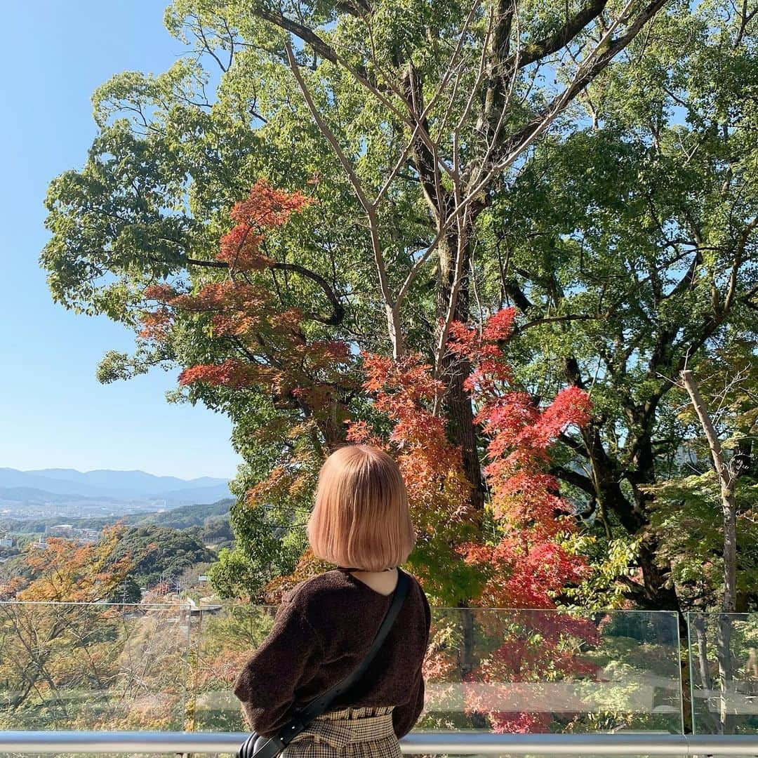 朝長美桜さんのインスタグラム写真 - (朝長美桜Instagram)「紅葉がとっても綺麗でした🍁  YouTube見てくれたかなぁ？？  話題になっている、竈門神社へ行ってきました⛩ ほんっっとうに偶然、 私服が鬼滅の刃に出てくる"善逸"っぽくなっていて面白かったです😂🤍🤍  そんな、#miocode 👗  outer＊#lilybrown one-piece＊#lilybrown sneaker＊#michaelkors  ニットとスカート、別々に見えるのに実はワンピースなんです☺️ 楽ちんでとっても暖かい🥰💕💕  アウターはシルエットがとっても可愛いです〜 あとはカラーに一目惚れしました💫  今年のアウター紹介のYouTubeは、もうすぐアップするので楽しみに待っていて下さい🤭🌿 皆さんはもう、今年のアウター決めましたか？  #リリーブラウン#太宰府天満宮#竈門神社#鬼滅の刃#ワンピース#スニーカー」11月16日 21時11分 - miochan_0517