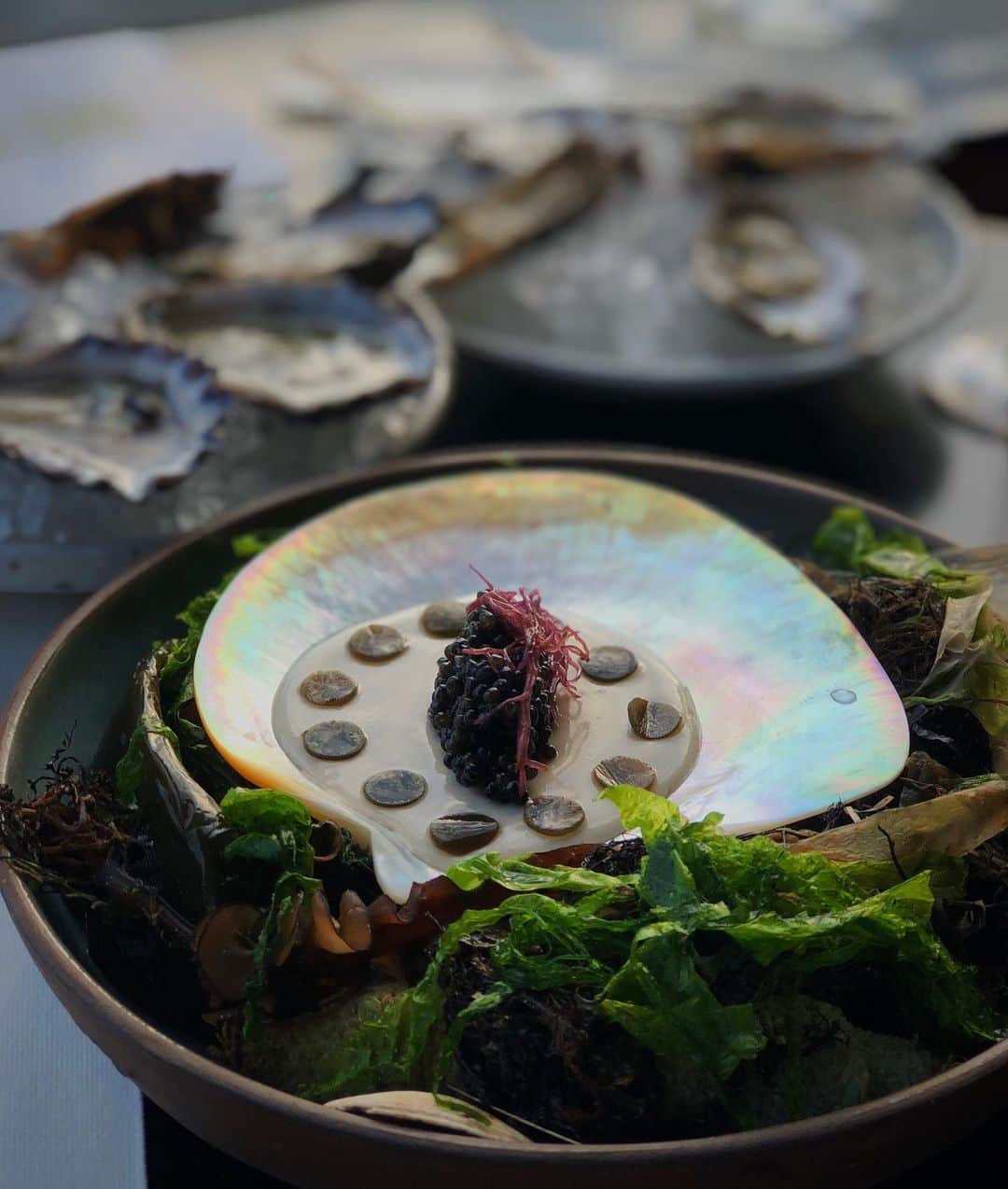 吉田朱里さんのインスタグラム写真 - (吉田朱里Instagram)「Sturgeon Caviar • Macadamia Tofu • Mushroom Marinated Kelp • Pickled Funori •」11月16日 21時21分 - ally_akari_yoshida