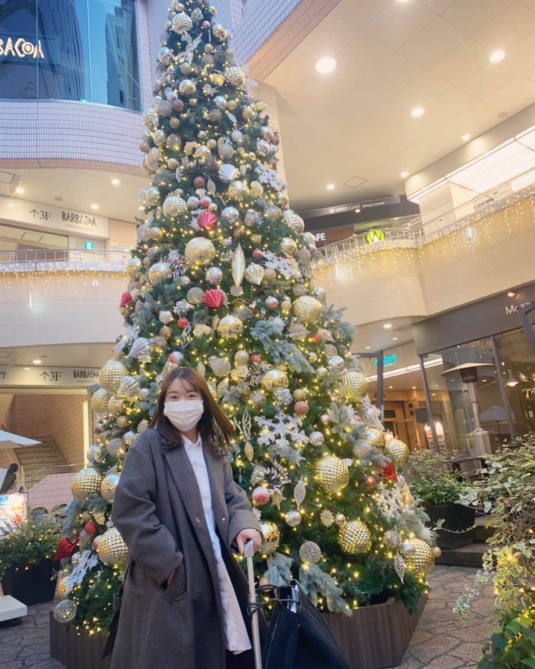 のインスタグラム：「ツリー見ると冬に近づいてるなーって感じる🎄❤️ 紅葉見に登山したいな🍁⛰」