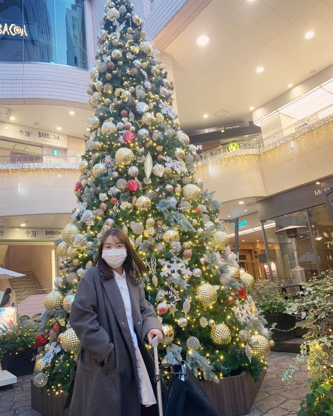 井上沙紀のインスタグラム：「ツリー見ると冬に近づいてるなーって感じる🎄❤️ 紅葉見に登山したいな🍁⛰」