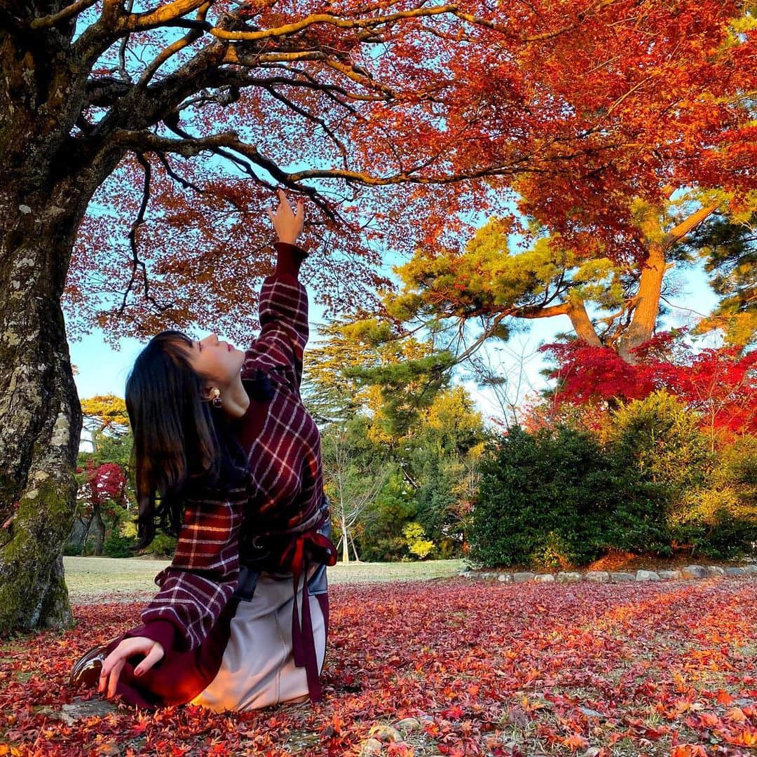 加藤万里奈さんのインスタグラム写真 - (加藤万里奈Instagram)「もみじのまねをしました。🍁  #紅葉」11月16日 21時47分 - _marinakato_