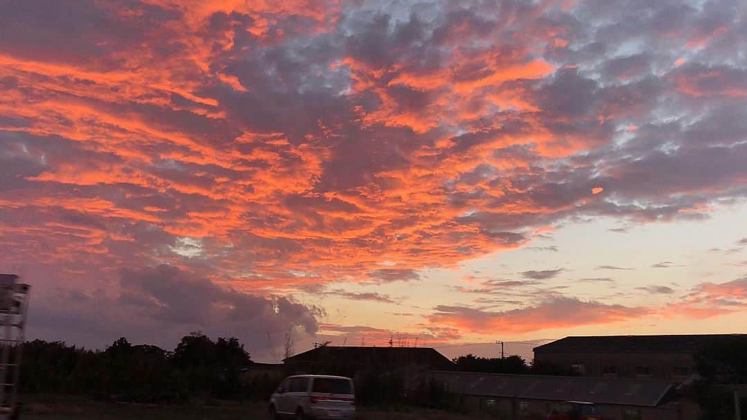 西脇梨紗さんのインスタグラム写真 - (西脇梨紗Instagram)「お空がこんなに燃えてるのは初めてみたよって日☺︎」11月16日 22時19分 - risa_nishiwaki