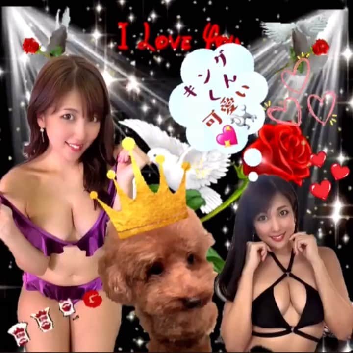のインスタグラム：「#ありがとう 🎠💕💕✨ #キング ちゃん可愛い🐩💗✨  #大好き ～💗🥰💗✨」