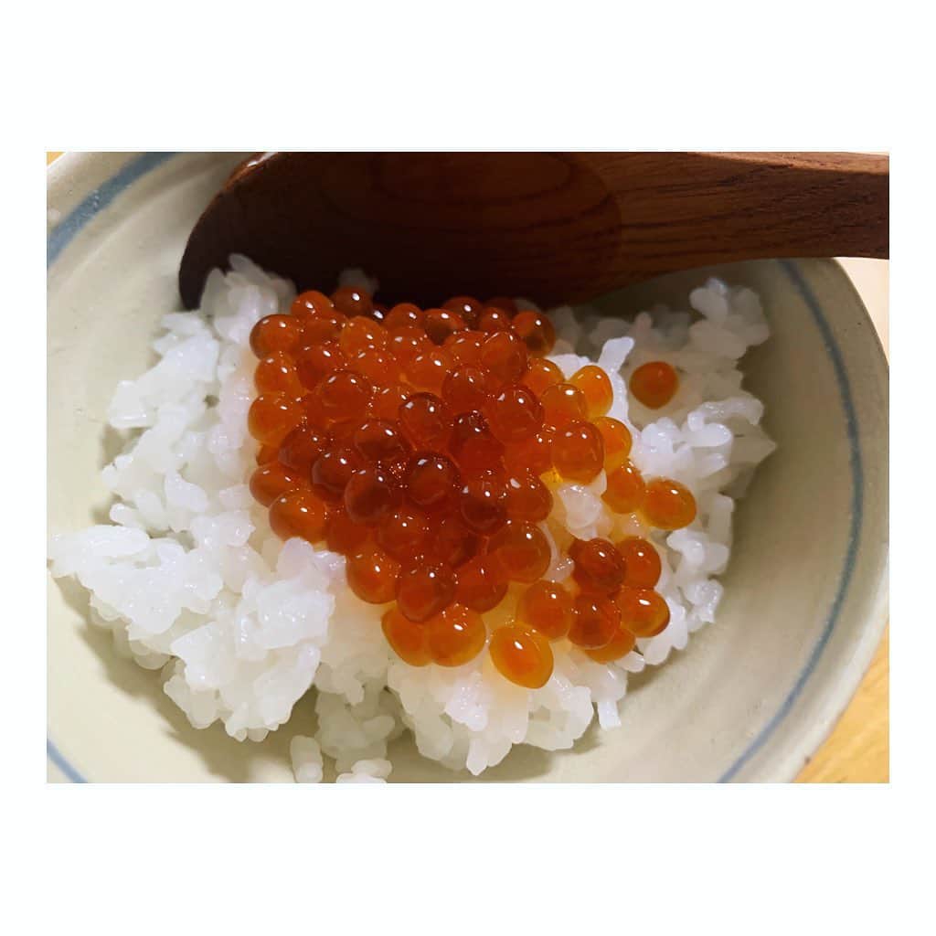 のインスタグラム：「初の自家製イクラ。 　 ちょっと前 いや、だいぶ前？に作ってみました。 (10月前半。) 　 自家製派のみなさんがおっしゃる通り 市販のイクラよりも 優しい味で ぷちぷちがしっかりしていて 食と向き合える しあわせな時間でした🤤💓 　 あーまた食べたいなぁ。 　 そんな本日は 卵かけご飯にしよーっと🥚 　 卵かけご飯とか めかぶ納豆ご飯とか おいしいよね🥺」