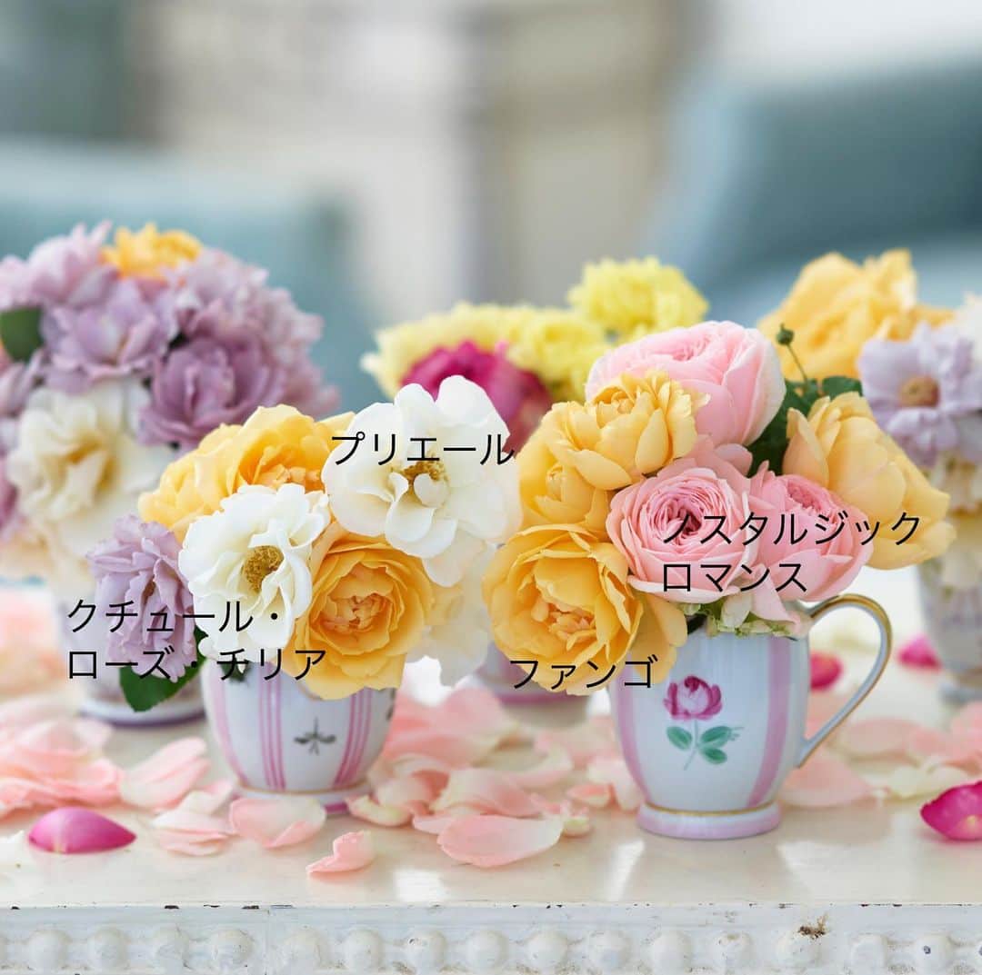 雑誌『花時間』さんのインスタグラム写真 - (雑誌『花時間』Instagram)「おはようございます。﻿ ﻿ 花を飾るとき、どんな器を使っていますか？﻿ ﻿ 水を満たせたら、なんでもOK🙆‍♀️﻿ ﻿ 紅茶やコーヒーのカップをいくつか並べて、お花を飾ってみませんか？﻿ ﻿ テーブルや棚にいくつか配置したら、短く切ったお花を挿していくだけ。﻿ ﻿ 高さはないものの、幅や奥行きが出せて、ちょっとした花畑風になるんです。﻿ ﻿ ここでは、やさしげな色のバラを数種チョイス。品種名は2枚めのpicを見てね。﻿ ﻿ 今日は甘〜い色🍰のお花でも買いに行きます？  花時間秋冬号も、バラのアレンジ満載です🌹🌹🌹﻿ ﻿ では、本日も元気smile😊😊😊で頑張りましょう！ by ピーターパン  花 @atelier_rencontrer  写真 @shigekikuribayashi   #flowers #flowerslovers #flowerstagram #flowerarrangement  #花時間 #花時間2020 #花好き #花藝 #花好きな人と繋がりたい #花が好きな人と繋がりたい #花のある生活 #花のある暮らし #花を飾る #花を飾る生活  #バラが好き #バラのある暮らし #リモージュ #かわいい花 #ティーカップ #バラのアレンジ  #ビタミンf  #バラの季節 #花屋さんへ行こう ﻿ ﻿ ﻿ ﻿」11月17日 9時16分 - hanajikan_magazine