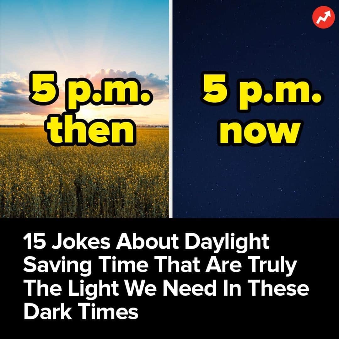 BuzzFeedさんのインスタグラム写真 - (BuzzFeedInstagram)「Greetings from my apartment, already dark at the late hour of...oh, wait, the "afternoon."」11月17日 13時30分 - buzzfeed