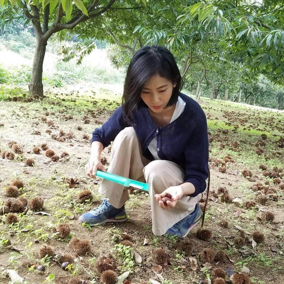 本仮屋リイナのインスタグラム