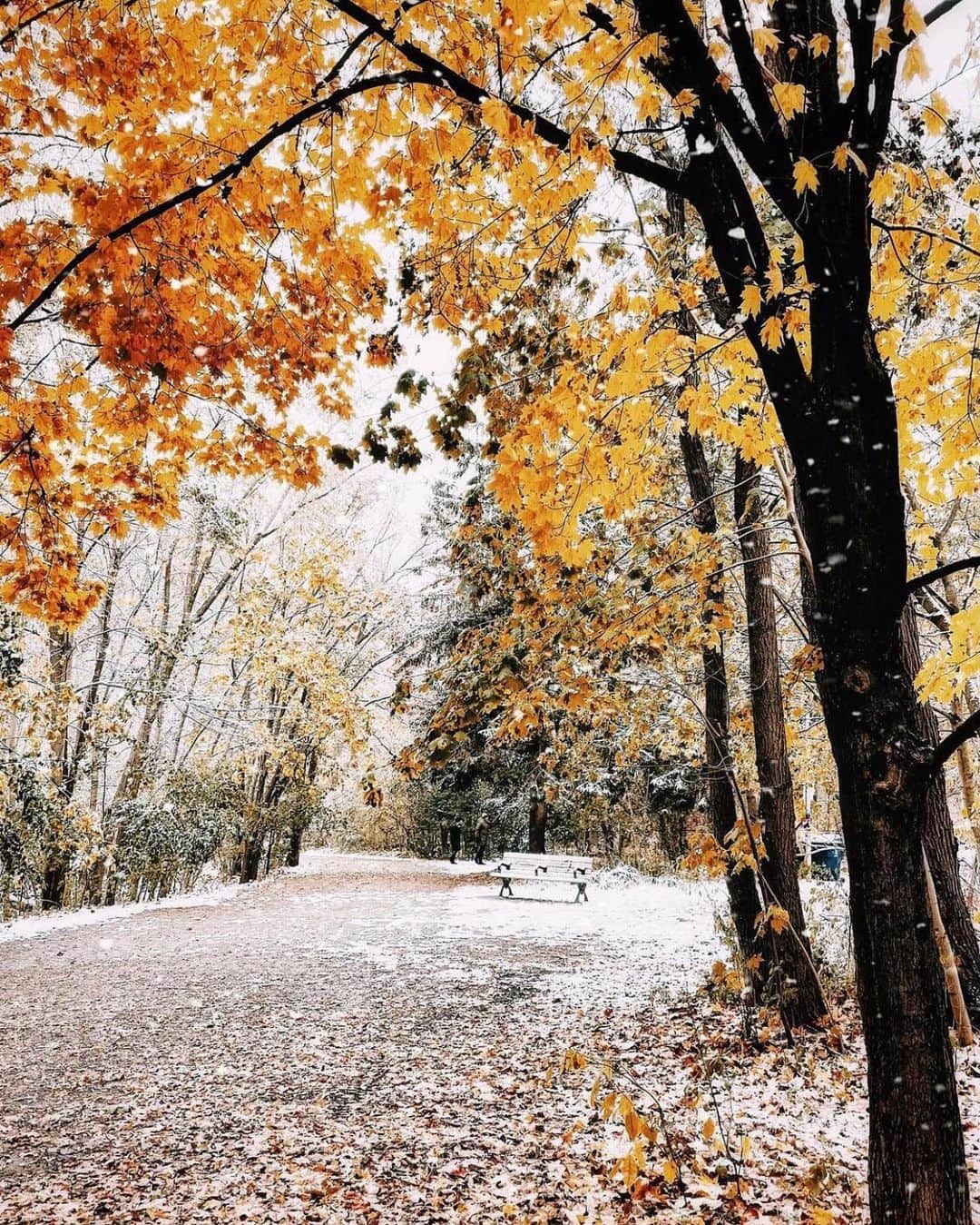 FOLKのインスタグラム：「That winter transition. Today’s favorites are: 1.) @punkodelish 2.) @paige_tingey @codymayer22 3.) @graz_25 4.) @kchysmith 5.) @downtofowler 6.) @muqu_j」