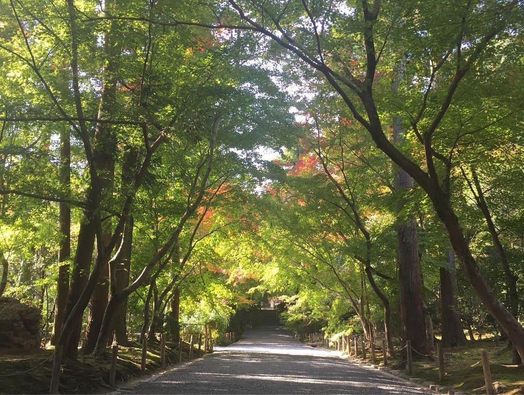 中岡龍子さんのインスタグラム写真 - (中岡龍子Instagram)「.Ryoanji👣 今日帰る前最後に1人で行ったのは龍安寺でした🐉✨  本当は金閣寺に行ったんですけどまさかの工事中で 近くに何あるか地図開いたら"龍"って見つけて 「行かな！」ってなってたまたま行ったわけですが、、  控えめに言って最高でした。  名前だけ見て調べずに行ったので イメージ超えすぎて1人でずっと感動…  いろんなドラゴンスポット探そうかな  親友と行ったところも偶然行けたここも どこ行っても本当に素敵でした❤︎」11月17日 0時37分 - ryoko1792