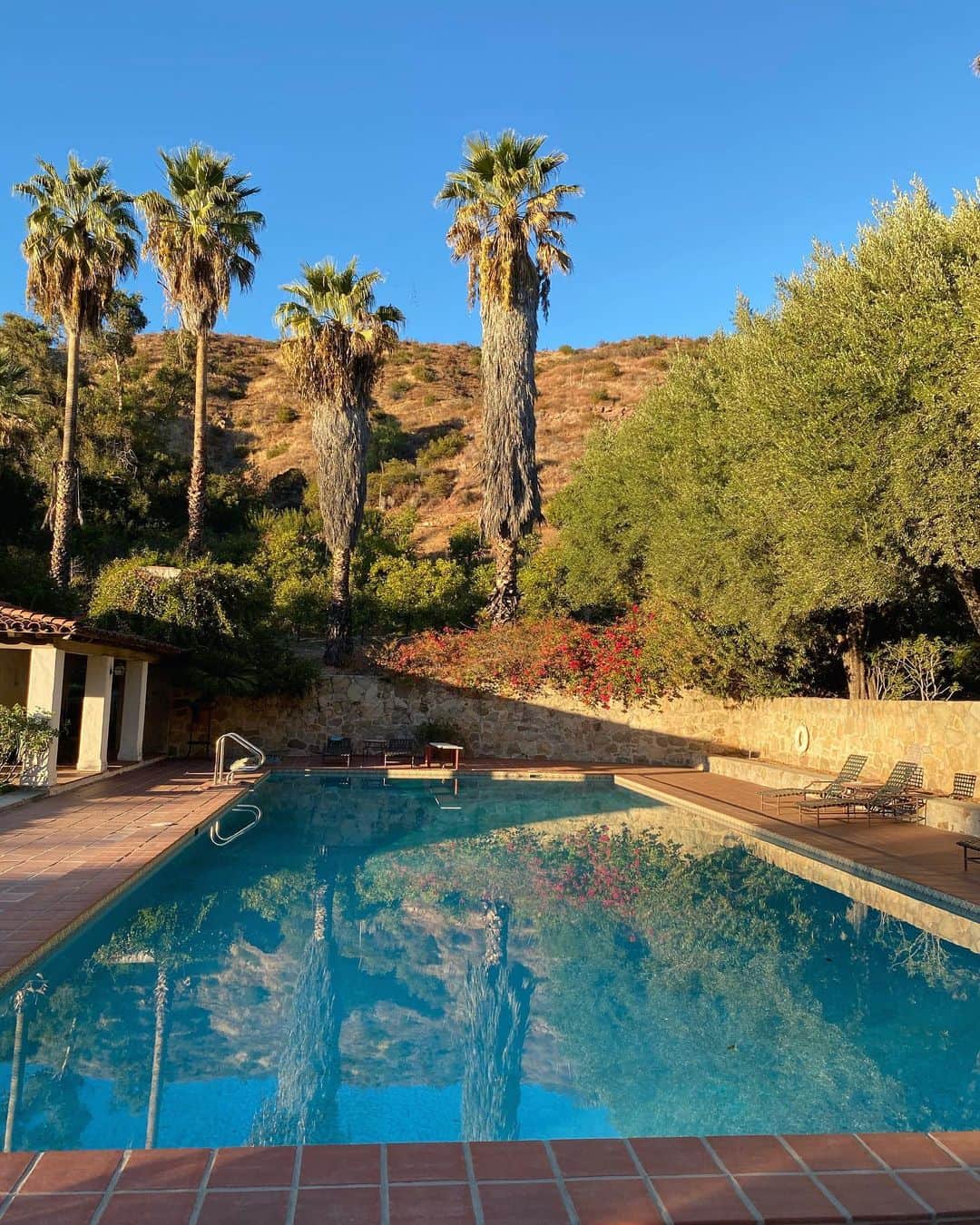 マリア・シャラポワのインスタグラム：「California 🍂🍁 🌴」