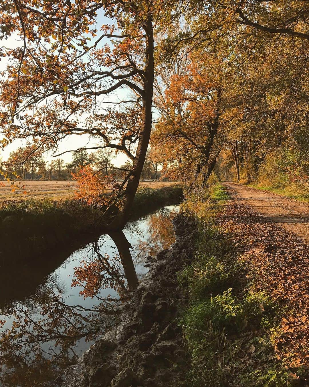 National Geographic Travelさんのインスタグラム写真 - (National Geographic TravelInstagram)「Photos by @andrea_frazzetta / The beauty of autumn surrounds us as my city of Milan prepares to face a new difficult period due to the pandemic. Milan, stay strong. #Italy #autumn #phonephotography」11月17日 0時39分 - natgeotravel