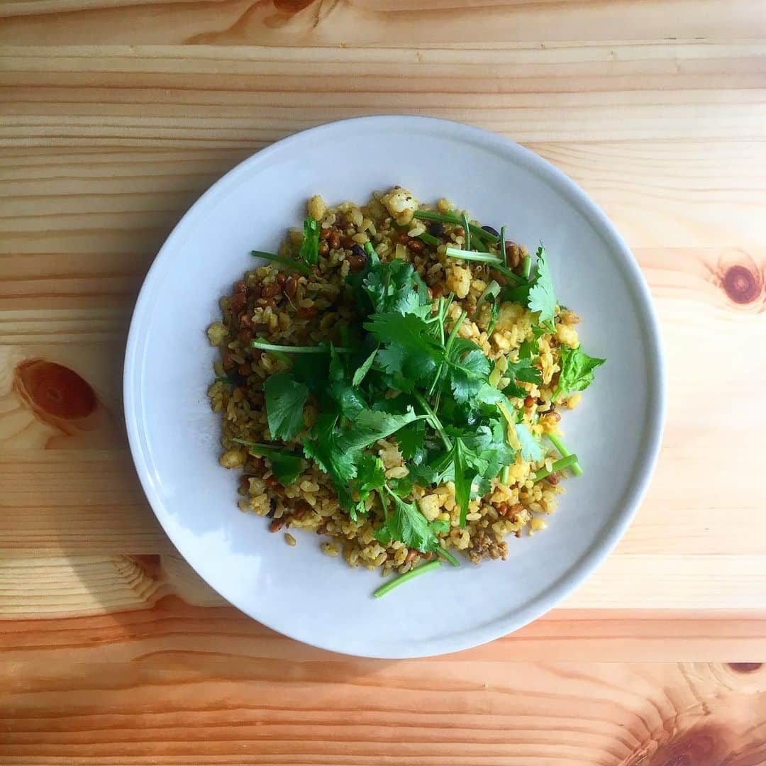 宮本菜津子さんのインスタグラム写真 - (宮本菜津子Instagram)「久方振り、今日のひるごはん。賞味期限ぎりぎりの納豆を迎え撃つべくお決まりの納豆炒飯を作るなど。一人暮らしは常々賞味期限との戦いなため、これまたギリギリ美味しく食べれそうなパクチーを無理やり混ぜ込むなどして、奇跡的に新しい方向性を見出すなど。日々、等等、である。なんだかんだ、美味しかった！ - #massofthefermentingdregs  #motfd #masudore #マスドレ #昼ごはん #ひるごはん #お昼ご飯 #昼ご飯 #ランチ #納豆炒飯 #納豆チャーハン  #等等」11月17日 1時05分 - natsukondesu