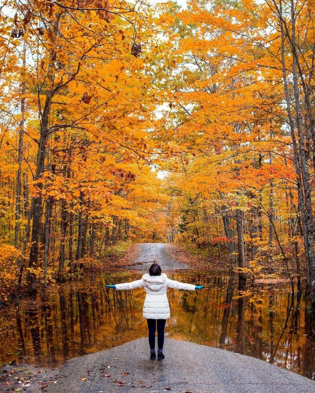 Visit The USAさんのインスタグラム写真 - (Visit The USAInstagram)「Lost in a sea of fall leaves! 🍂🍁😍 The Chequamegon-Nicolet National Forest covers over 6,000 square kilometers of land in northern Wisconsin. The National Forest has campgrounds, hiking and biking trails and even snowmobiling in the winter! #VisitTheUSA  📸 :@raman.photos」11月17日 2時00分 - visittheusa