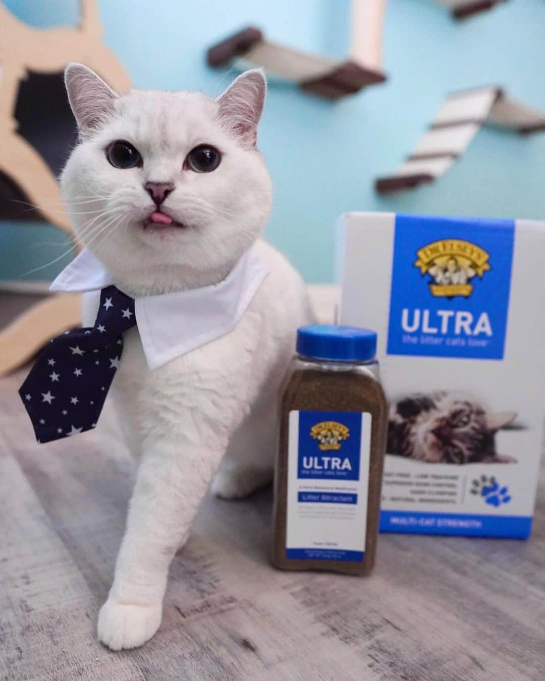 ミスター・ホワイトさんのインスタグラム写真 - (ミスター・ホワイトInstagram)「The right litter for me is @drelseys Ultra Litter because it’s 99.9% dust-free, low tracking, and developed to fight the smelliest moments. A fresh and clean litter box is so important for your kitty’s health and encourages proper litter box behavior. That’s why they created a free quiz to help you discover which veterinarian-formulated litter is the perfect fit for your cat's needs! Link in bio to learn more! #DrElseys #ad」11月17日 2時01分 - white_coffee_cat