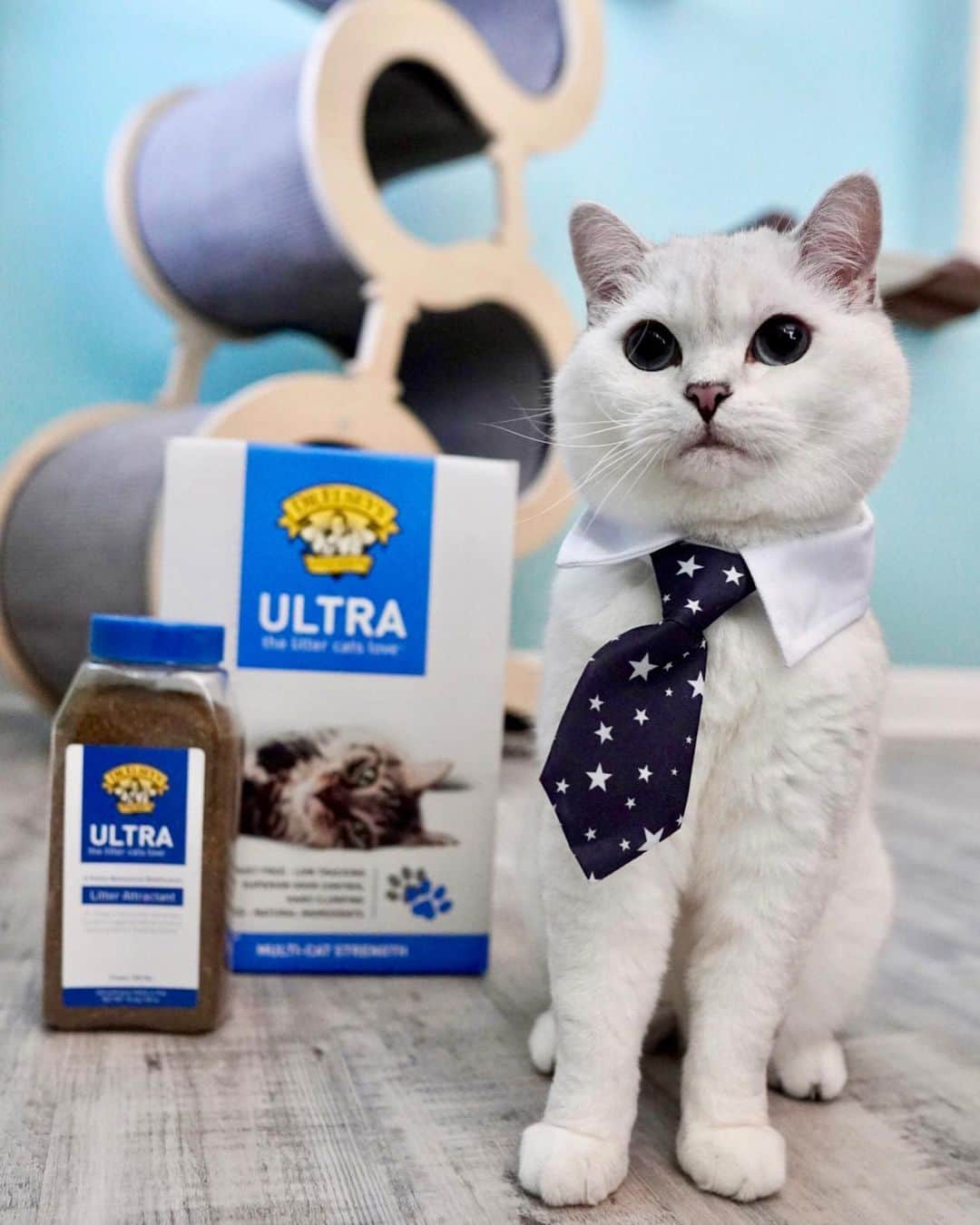 ミスター・ホワイトさんのインスタグラム写真 - (ミスター・ホワイトInstagram)「The right litter for me is @drelseys Ultra Litter because it’s 99.9% dust-free, low tracking, and developed to fight the smelliest moments. A fresh and clean litter box is so important for your kitty’s health and encourages proper litter box behavior. That’s why they created a free quiz to help you discover which veterinarian-formulated litter is the perfect fit for your cat's needs! Link in bio to learn more! #DrElseys #ad」11月17日 2時01分 - white_coffee_cat