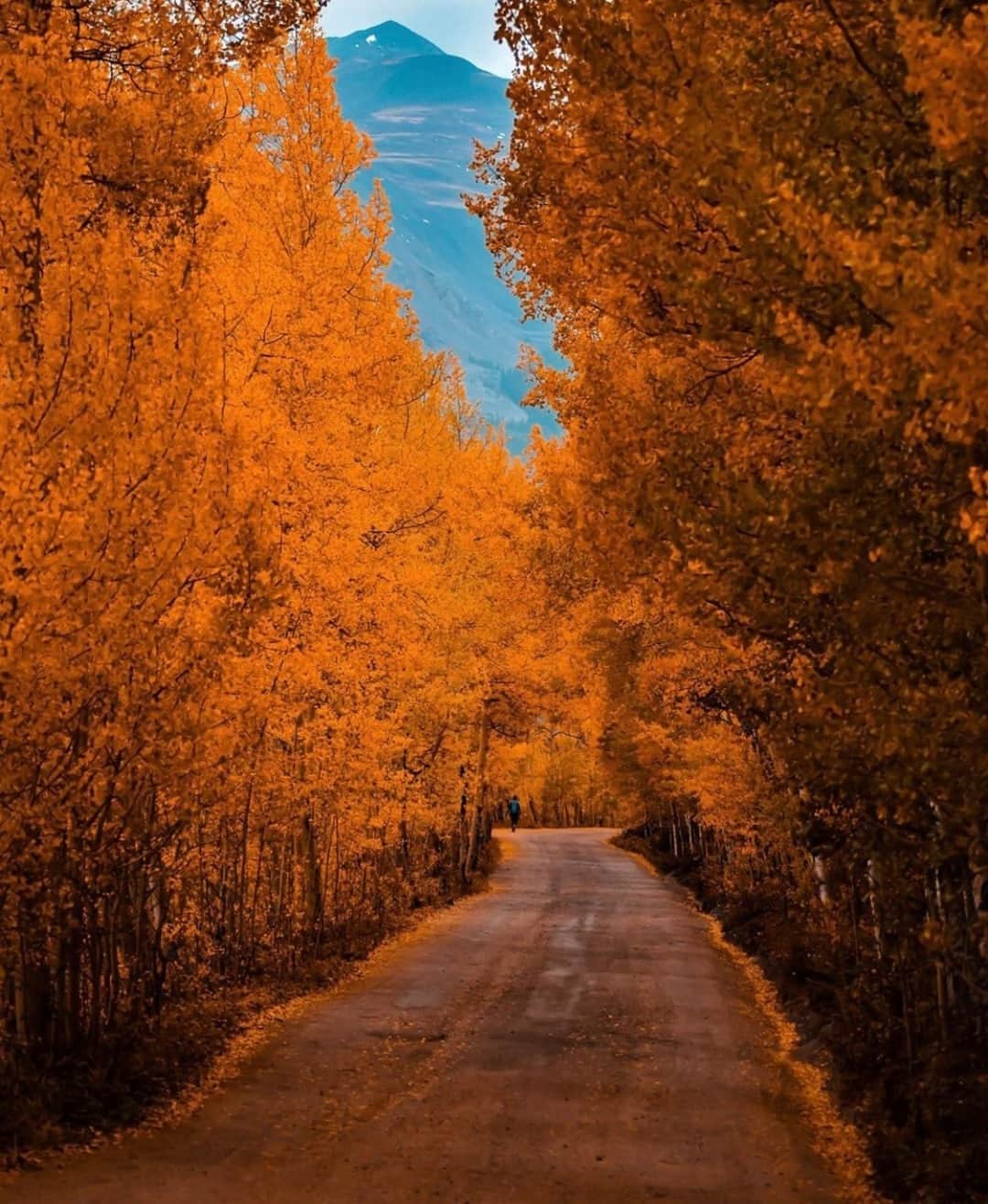 Earth Picsさんのインスタグラム写真 - (Earth PicsInstagram)「Imagine going for a walk and being able to admire these amazing colors! 🍁🍂 In Colorado, USA by @jkrauthphotography」11月17日 3時01分 - earthpix