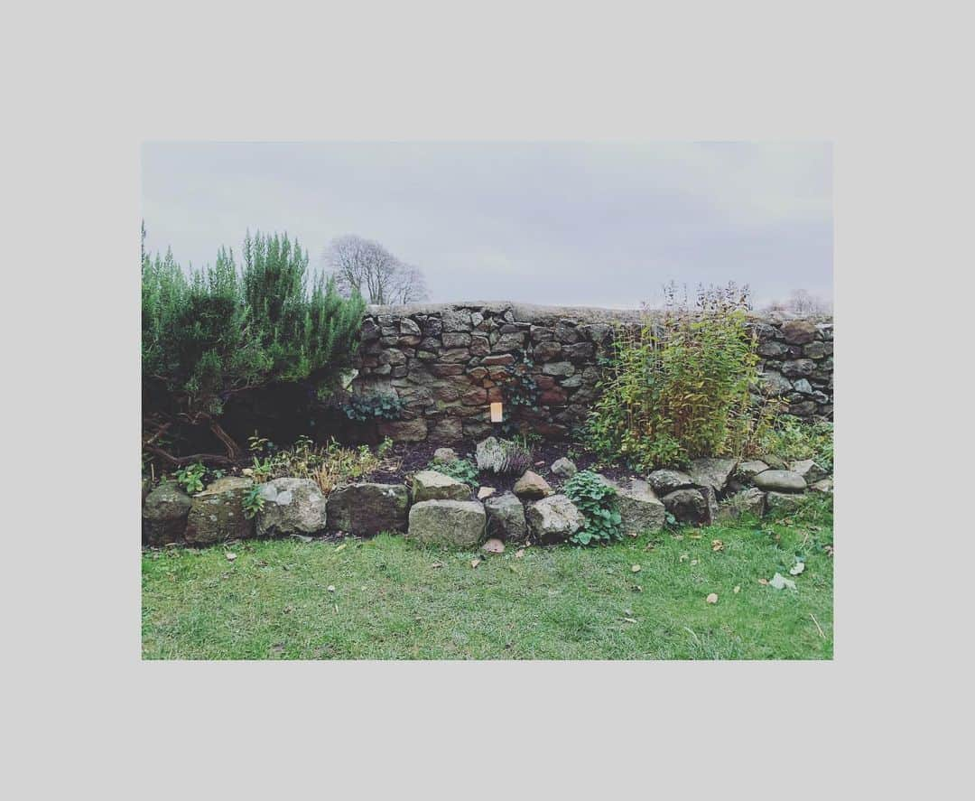 ダイアナ湯川のインスタグラム：「Avebury circle to mark seven years of marriage ❤️ What a magical place of beauty. A chance encounter with Suzanne (who shares the same name as my estranged mother) as we were leaving the chapel, where we learnt of the quiet (and seemingly secret!) garden which she runs. She so kindly gifted us with rosemary and the last rose of the summer... which were planted 31 years ago to mark her wedding at the sacred site. Such beauty and gratitude for this simple but oh so meaningful exchange. Cannot believe we have been married for half of our relationship... time flies when you’re with the one you love! Bring on the next seven... 🥰 And to top off our lovely day, Elsie started drawing creatures today!  . . . #marriage #weddinganniversary #sevenyears #husband #wife #marriedlife #daughters #family #love #blessed #happiness #avebury #aveburycircle #magic #beauty #destiny #childhood #motherhood #fatherhood」