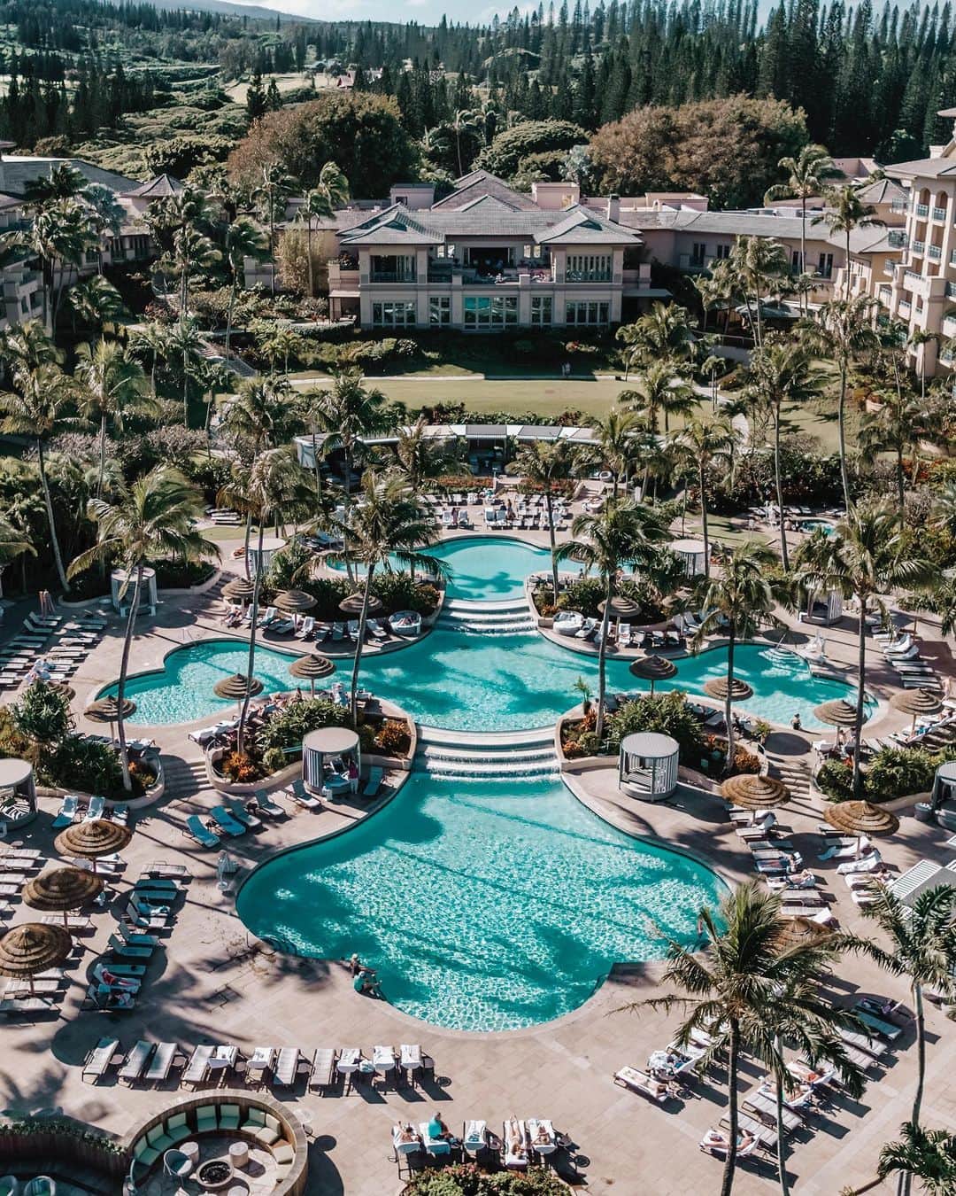 リッツ・カールトンのインスタグラム：「From pool, ocean, beach or trail, treat your senses to the lush Hawaii landscape at The Ritz-Carlton, #Kapalua.」