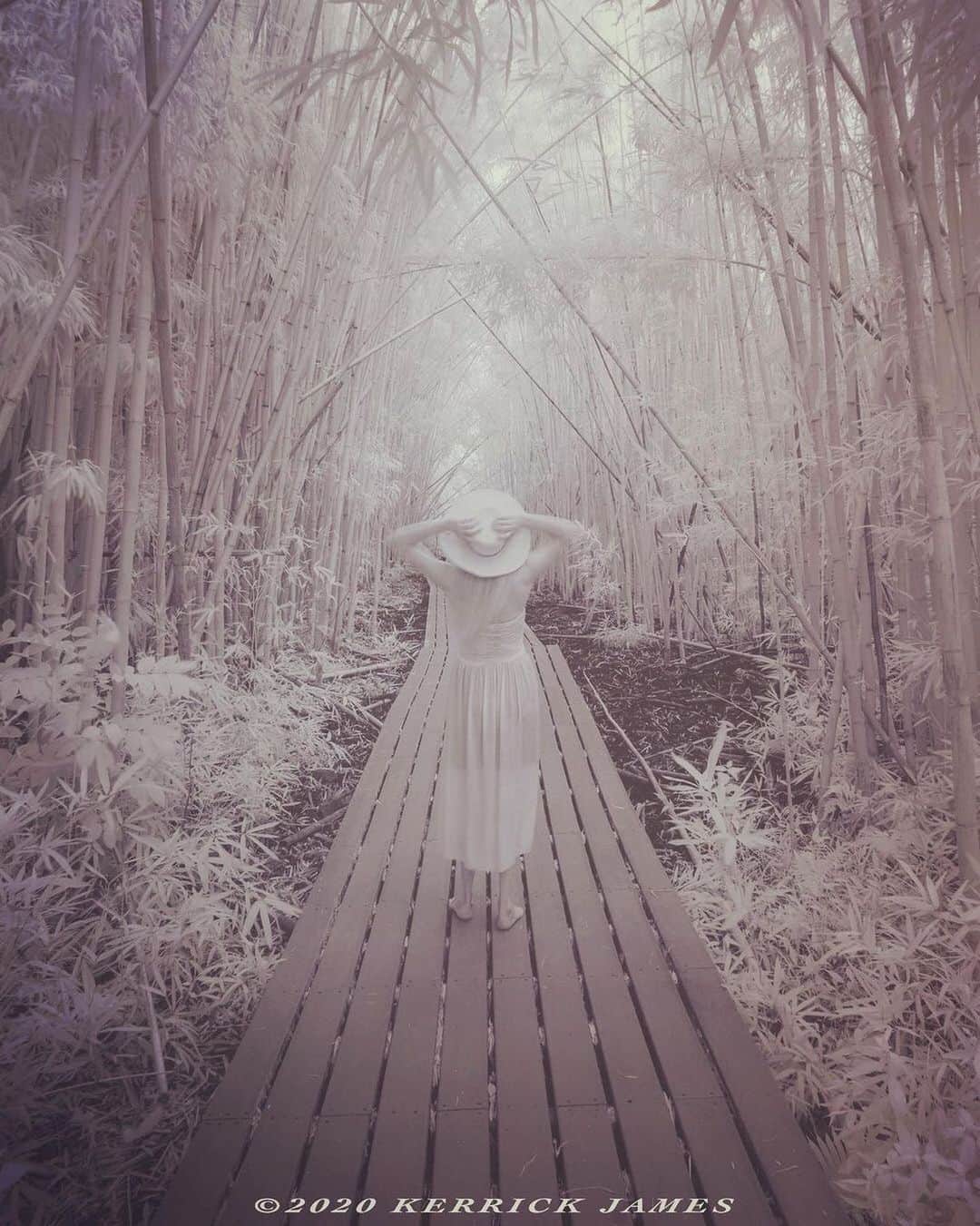 Ricoh Imagingのインスタグラム：「Posted @withregram • @kerrickjames5 Julie walks the bamboo forest of Maui. Shot with a Pentax K-01 and 15mm Limited lens. @mauivisit @gohawaii @mauivisitorsbureau」