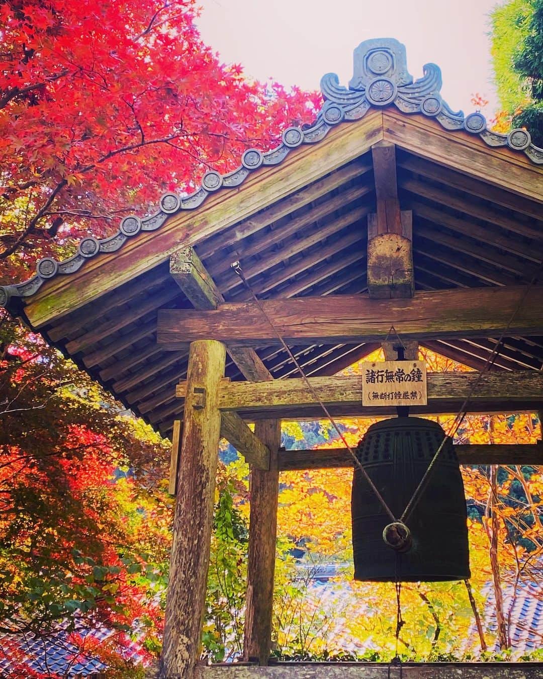 尾木直樹さんのインスタグラム写真 - (尾木直樹Instagram)「京都､寂光院の「諸行無常の鐘」 平家物語思い出しますーー 紅葉に映えていますね  - #寂光院#紅葉🍁#諸行無常の鐘楼 #建礼門院#綺麗#尾木ママ」11月17日 7時38分 - oginaoki_ogimama