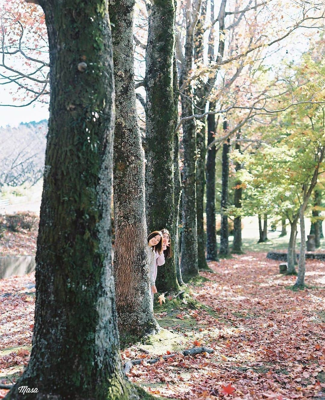 Masaさんのインスタグラム写真 - (MasaInstagram)「. . . チラッ👭 . 撮影日 : 2020年11月8日 . #まさペン #エビプリ #pentax6x7 #バケペン #instagramjapan #igersjp #team_jp_  #tokyocameraclub #GPW_members_only  #good_portraits_world #art_of_japan_ #photogenic_jp #film_jp #film #フィルム #filmcamera #filmphotography #portrait #ポートレート #photogram_archive #team_jp_ #滋賀 #shiga #紅葉 #何気ない瞬間を残したい #kodakと滋賀 #kodak日本一周」11月17日 7時33分 - masa_nikonist